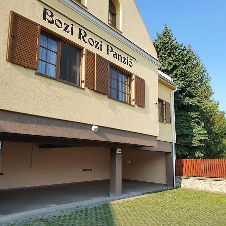 Hotel Bozi Rozi Panzio Fertőboz Exteriér fotografie