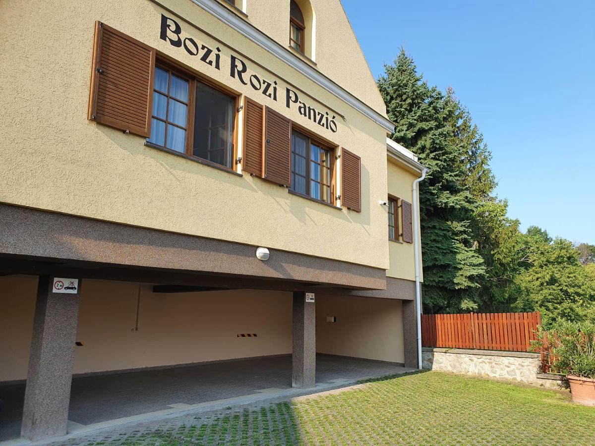 Hotel Bozi Rozi Panzio Fertőboz Exteriér fotografie