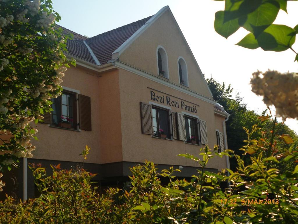 Hotel Bozi Rozi Panzio Fertőboz Exteriér fotografie